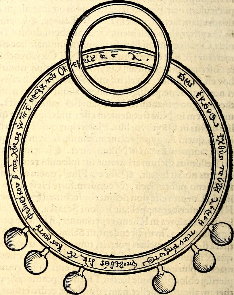 An illustration from Icones animalium quadrupedum uiuiparorum et ouiparorum : quae in Historiae animalium Conradi Gesneri libro I. et II. describuntur, cum nomenclaturis singulorum latinis, graecis, italicis, gallicis, et germanicis plerunque, et aliarum quoque linguarum, certis ordinibus digestae, 1560, leaf 637