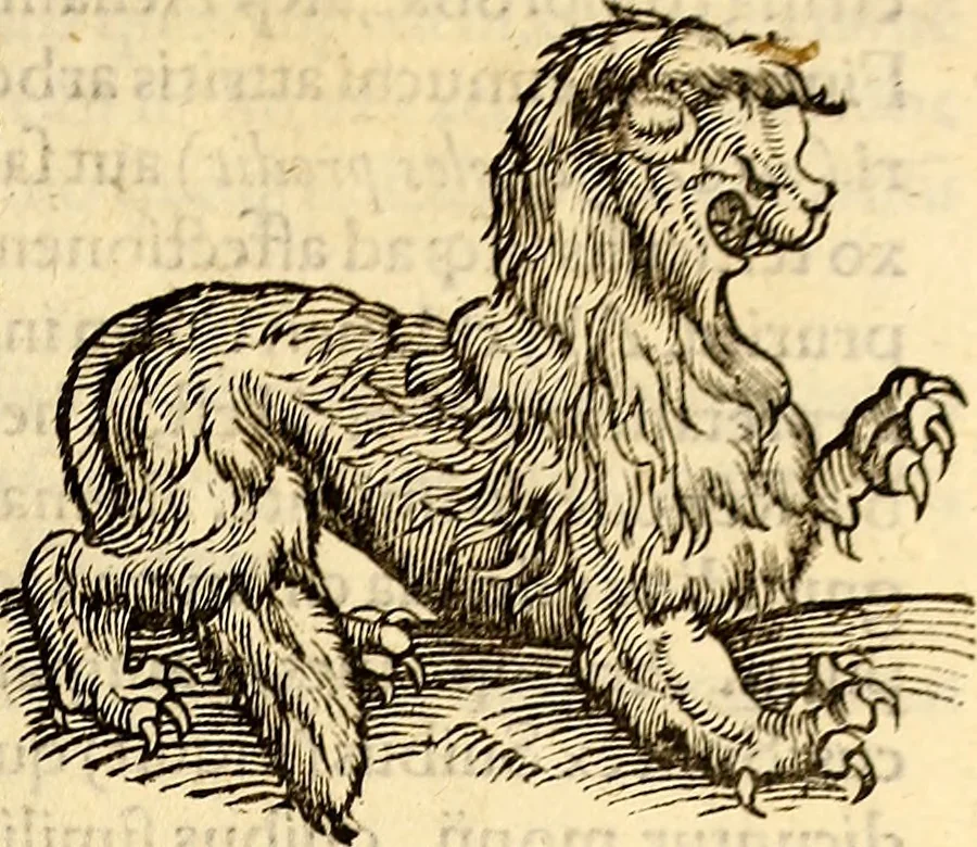 An illustration from Icones animalium quadrupedum uiuiparorum et ouiparorum : quae in Historiae animalium Conradi Gesneri libro I. et II. describuntur, cum nomenclaturis singulorum latinis, graecis, italicis, gallicis, et germanicis plerunque, et aliarum quoque linguarum, certis ordinibus digestae, 1560, leaf 90