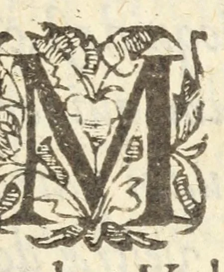 An illustration from Icones et epitaphia qvatvor postremorvm ducum Burgundiae ex augustissima Valesiorum familia = Les povrtraits des qvatre derniers Ducs de Bourgongne, de la royale maison de Valois, 1587, leaf 13