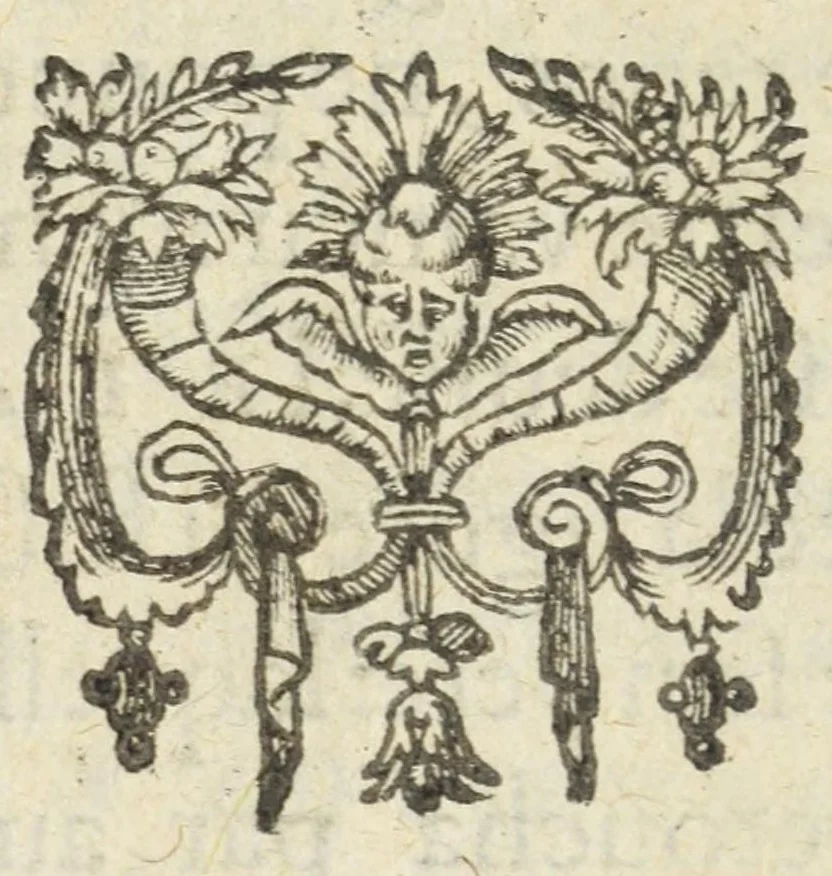 An illustration from Icones et epitaphia qvatvor postremorvm ducum Burgundiae ex augustissima Valesiorum familia = Les povrtraits des qvatre derniers Ducs de Bourgongne, de la royale maison de Valois, 1587, leaf 52