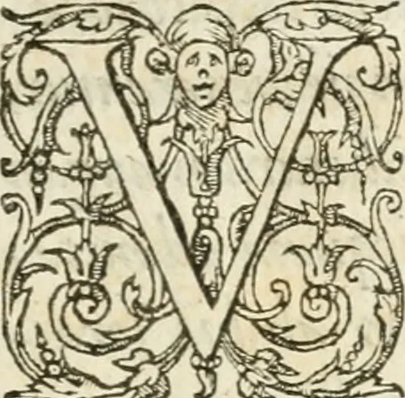 An illustration from Icones, id est, Verae imagines virorvm doctrina simvl et pietate illvstrivm, qvorvm praecipuè ministerio partim bonarum literarum studia sunt restituta, partim vera religio in variis orbis christiani regionibus, nostra patrúmque memoria fuit instaurata: additis eorundem vitae & operae descriptionibus, quibus adiectae sunt nonnullae picturae quas emblemata vocant, 1580, leaf 10