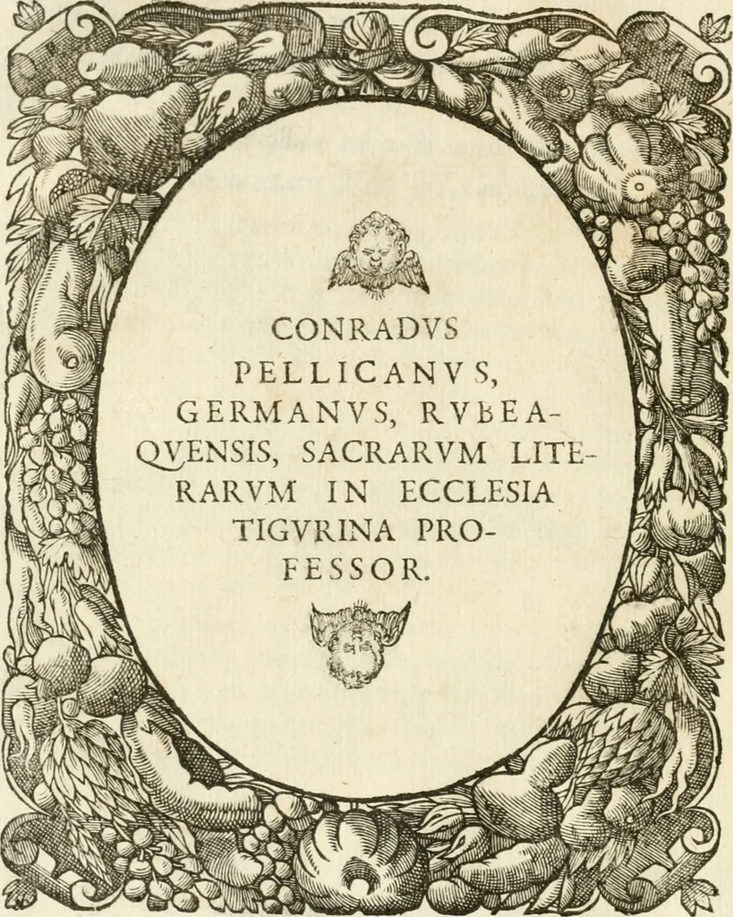 An illustration from Icones, id est, Verae imagines virorvm doctrina simvl et pietate illvstrivm, qvorvm praecipuè ministerio partim bonarum literarum studia sunt restituta, partim vera religio in variis orbis christiani regionibus, nostra patrúmque memoria fuit instaurata: additis eorundem vitae & operae descriptionibus, quibus adiectae sunt nonnullae picturae quas emblemata vocant, 1580, leaf 127