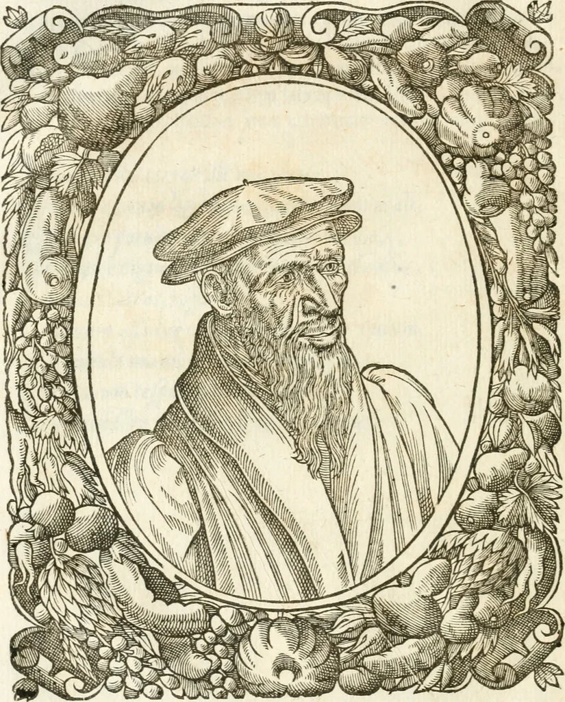 An illustration from Icones, id est, Verae imagines virorvm doctrina simvl et pietate illvstrivm, qvorvm praecipuè ministerio partim bonarum literarum studia sunt restituta, partim vera religio in variis orbis christiani regionibus, nostra patrúmque memoria fuit instaurata: additis eorundem vitae & operae descriptionibus, quibus adiectae sunt nonnullae picturae quas emblemata vocant, 1580, leaf 151
