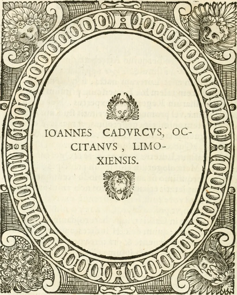 An illustration from Icones, id est, Verae imagines virorvm doctrina simvl et pietate illvstrivm, qvorvm praecipuè ministerio partim bonarum literarum studia sunt restituta, partim vera religio in variis orbis christiani regionibus, nostra patrúmque memoria fuit instaurata: additis eorundem vitae & operae descriptionibus, quibus adiectae sunt nonnullae picturae quas emblemata vocant, 1580, leaf 199