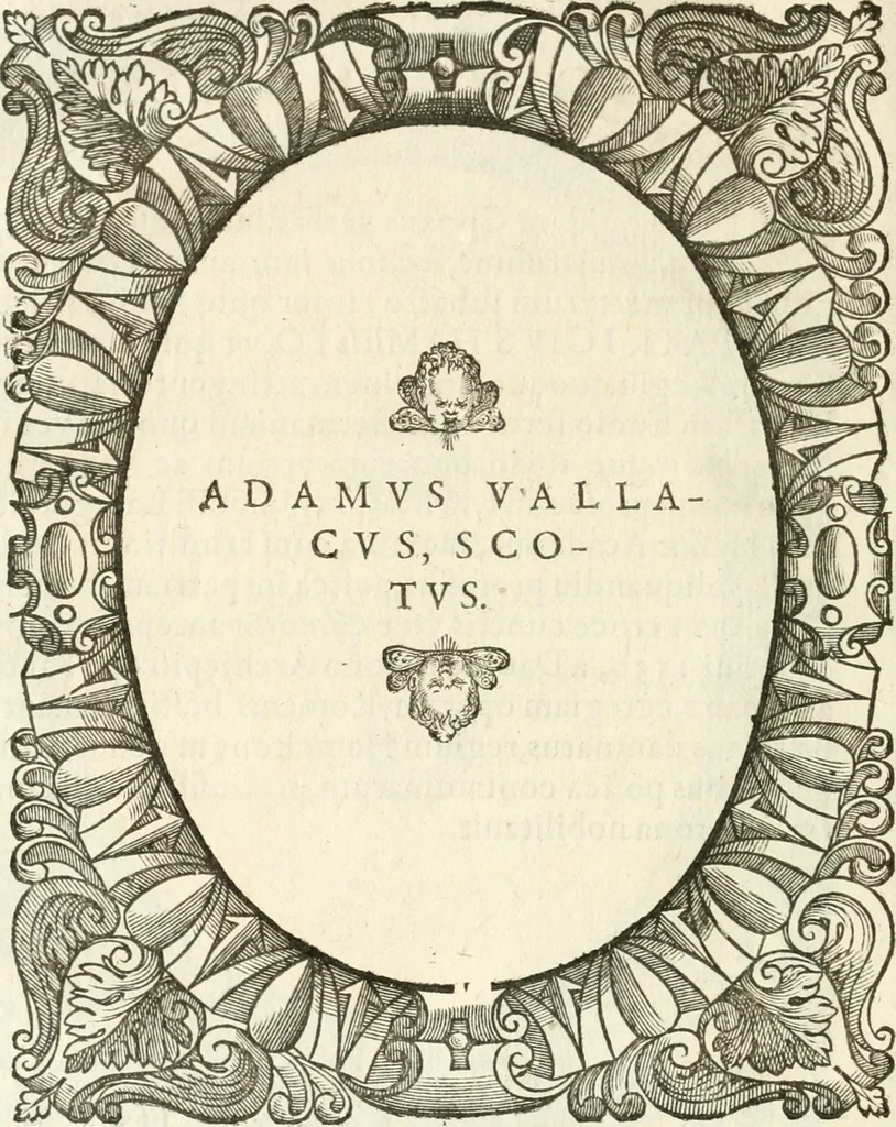 An illustration from Icones, id est, Verae imagines virorvm doctrina simvl et pietate illvstrivm, qvorvm praecipuè ministerio partim bonarum literarum studia sunt restituta, partim vera religio in variis orbis christiani regionibus, nostra patrúmque memoria fuit instaurata: additis eorundem vitae & operae descriptionibus, quibus adiectae sunt nonnullae picturae quas emblemata vocant, 1580, leaf 241