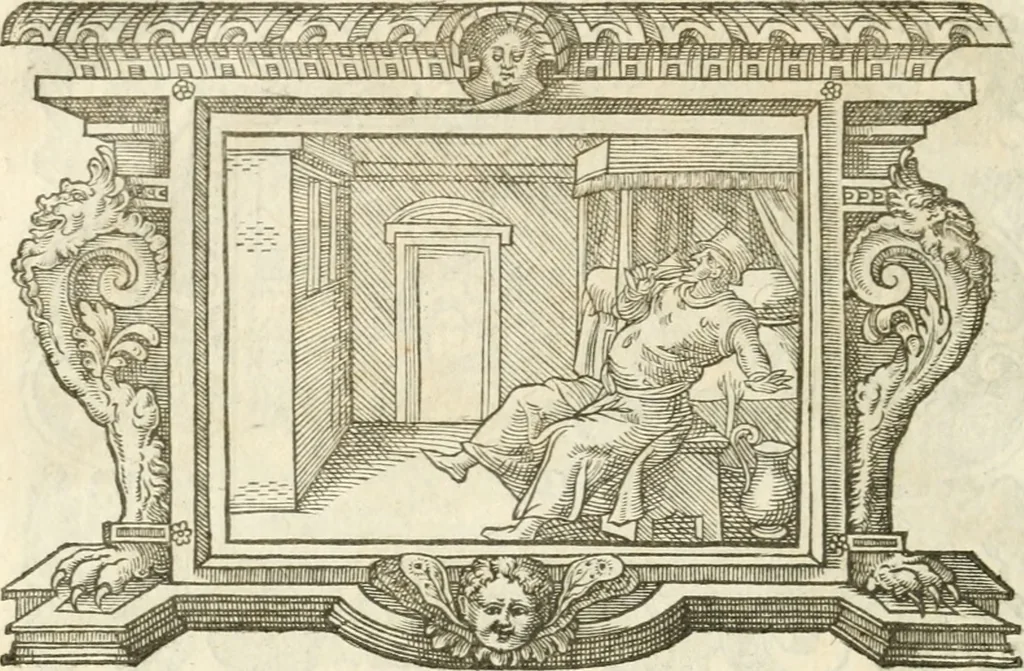 An illustration from Icones, id est, Verae imagines virorvm doctrina simvl et pietate illvstrivm, qvorvm praecipuè ministerio partim bonarum literarum studia sunt restituta, partim vera religio in variis orbis christiani regionibus, nostra patrúmque memoria fuit instaurata: additis eorundem vitae & operae descriptionibus, quibus adiectae sunt nonnullae picturae quas emblemata vocant, 1580, leaf 291