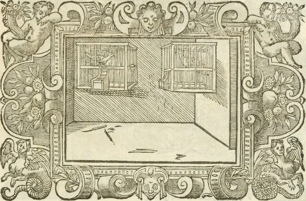 An illustration from Icones, id est, Verae imagines virorvm doctrina simvl et pietate illvstrivm, qvorvm praecipuè ministerio partim bonarum literarum studia sunt restituta, partim vera religio in variis orbis christiani regionibus, nostra patrúmque memoria fuit instaurata: additis eorundem vitae & operae descriptionibus, quibus adiectae sunt nonnullae picturae quas emblemata vocant, 1580, leaf 292