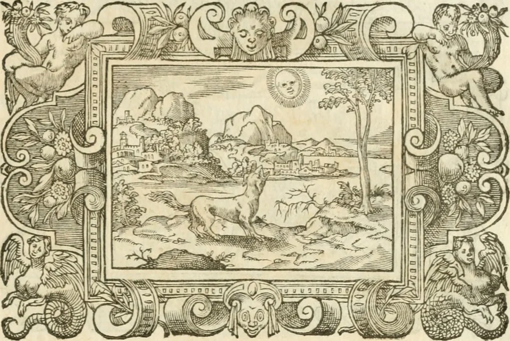 An illustration from Icones, id est, Verae imagines virorvm doctrina simvl et pietate illvstrivm, qvorvm praecipuè ministerio partim bonarum literarum studia sunt restituta, partim vera religio in variis orbis christiani regionibus, nostra patrúmque memoria fuit instaurata: additis eorundem vitae & operae descriptionibus, quibus adiectae sunt nonnullae picturae quas emblemata vocant, 1580, leaf 298