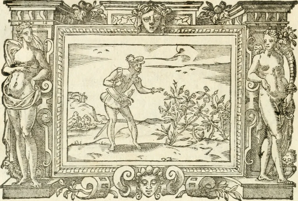 An illustration from Icones, id est, Verae imagines virorvm doctrina simvl et pietate illvstrivm, qvorvm praecipuè ministerio partim bonarum literarum studia sunt restituta, partim vera religio in variis orbis christiani regionibus, nostra patrúmque memoria fuit instaurata: additis eorundem vitae & operae descriptionibus, quibus adiectae sunt nonnullae picturae quas emblemata vocant, 1580, leaf 309