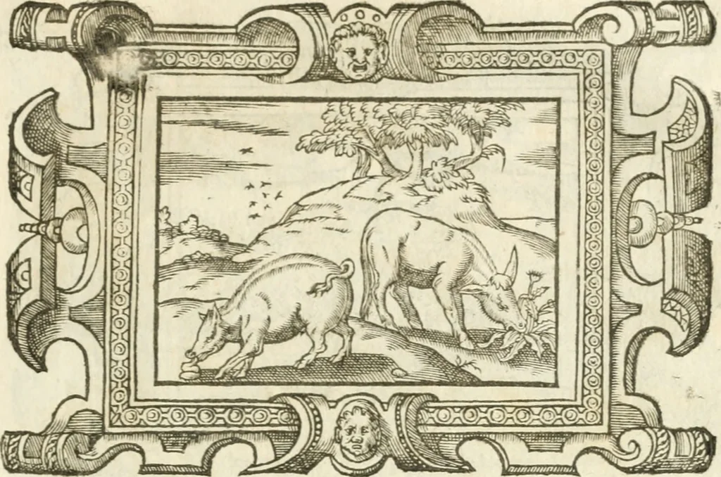 An illustration from Icones, id est, Verae imagines virorvm doctrina simvl et pietate illvstrivm, qvorvm praecipuè ministerio partim bonarum literarum studia sunt restituta, partim vera religio in variis orbis christiani regionibus, nostra patrúmque memoria fuit instaurata: additis eorundem vitae & operae descriptionibus, quibus adiectae sunt nonnullae picturae quas emblemata vocant, 1580, leaf 310