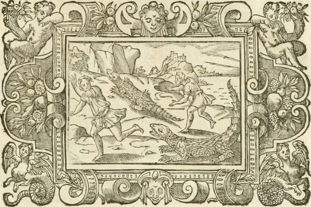An illustration from Icones, id est, Verae imagines virorvm doctrina simvl et pietate illvstrivm, qvorvm praecipuè ministerio partim bonarum literarum studia sunt restituta, partim vera religio in variis orbis christiani regionibus, nostra patrúmque memoria fuit instaurata: additis eorundem vitae & operae descriptionibus, quibus adiectae sunt nonnullae picturae quas emblemata vocant, 1580, leaf 312