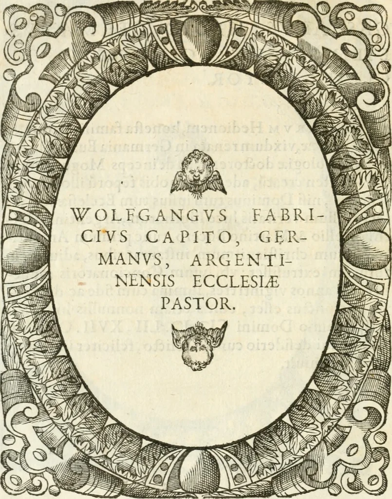 An illustration from Icones, id est, Verae imagines virorvm doctrina simvl et pietate illvstrivm, qvorvm praecipuè ministerio partim bonarum literarum studia sunt restituta, partim vera religio in variis orbis christiani regionibus, nostra patrúmque memoria fuit instaurata: additis eorundem vitae & operae descriptionibus, quibus adiectae sunt nonnullae picturae quas emblemata vocant, 1580, leaf 71