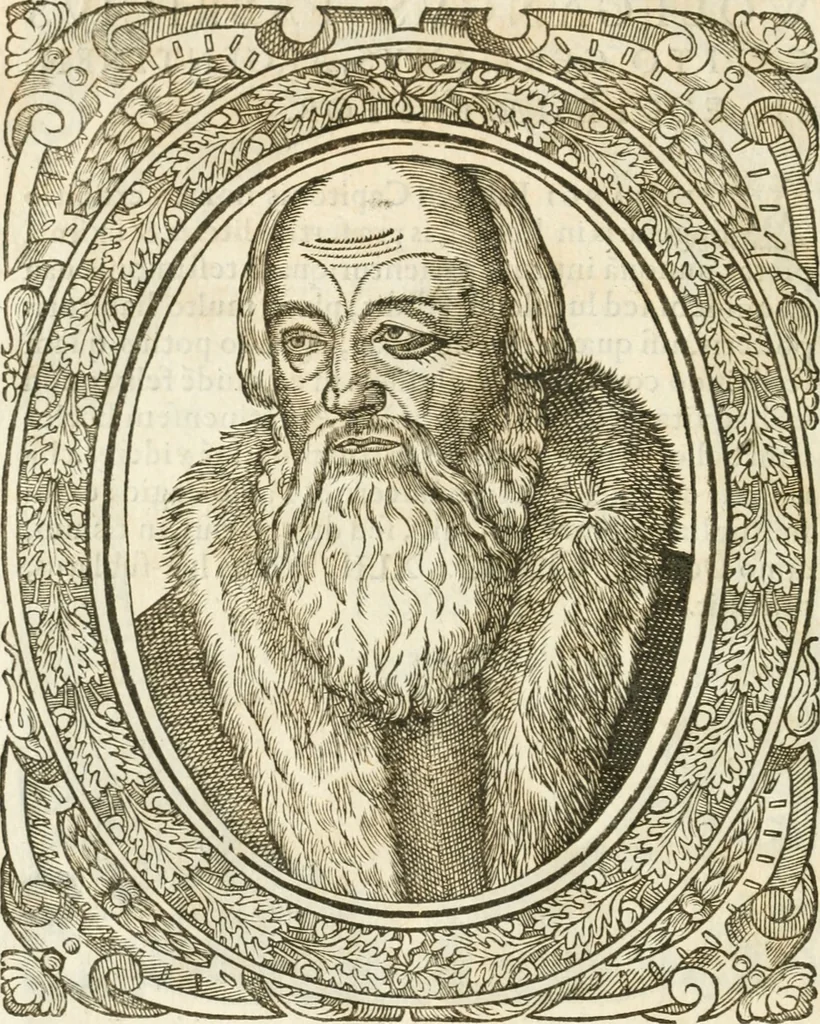An illustration from Icones, id est, Verae imagines virorvm doctrina simvl et pietate illvstrivm, qvorvm praecipuè ministerio partim bonarum literarum studia sunt restituta, partim vera religio in variis orbis christiani regionibus, nostra patrúmque memoria fuit instaurata: additis eorundem vitae & operae descriptionibus, quibus adiectae sunt nonnullae picturae quas emblemata vocant, 1580, leaf 73