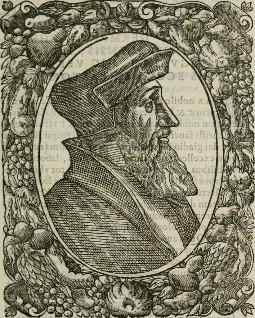 An illustration from Icones, id est, Verae imagines virorum doctrina simul et pietate illustrium, : quorum praecipuè ministerio partim bonarum literarum studia sunt restituta, partim vera religio in variis orbis Christiani regionibus, nostra patrúmque memoria fuit instaurata : additis eorundem vitae & operae descriptionibus, quibus adiectae sunt nonnullae picturae quas emblemata vocant., 1580, leaf 102