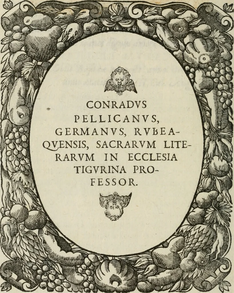 An illustration from Icones, id est, Verae imagines virorum doctrina simul et pietate illustrium, : quorum praecipuè ministerio partim bonarum literarum studia sunt restituta, partim vera religio in variis orbis Christiani regionibus, nostra patrúmque memoria fuit instaurata : additis eorundem vitae & operae descriptionibus, quibus adiectae sunt nonnullae picturae quas emblemata vocant., 1580, leaf 125