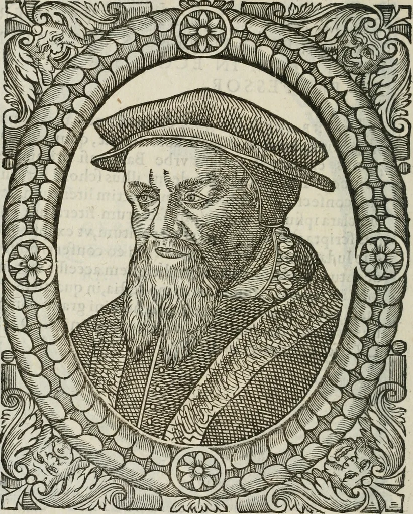An illustration from Icones, id est, Verae imagines virorum doctrina simul et pietate illustrium, : quorum praecipuè ministerio partim bonarum literarum studia sunt restituta, partim vera religio in variis orbis Christiani regionibus, nostra patrúmque memoria fuit instaurata : additis eorundem vitae & operae descriptionibus, quibus adiectae sunt nonnullae picturae quas emblemata vocant., 1580, leaf 127