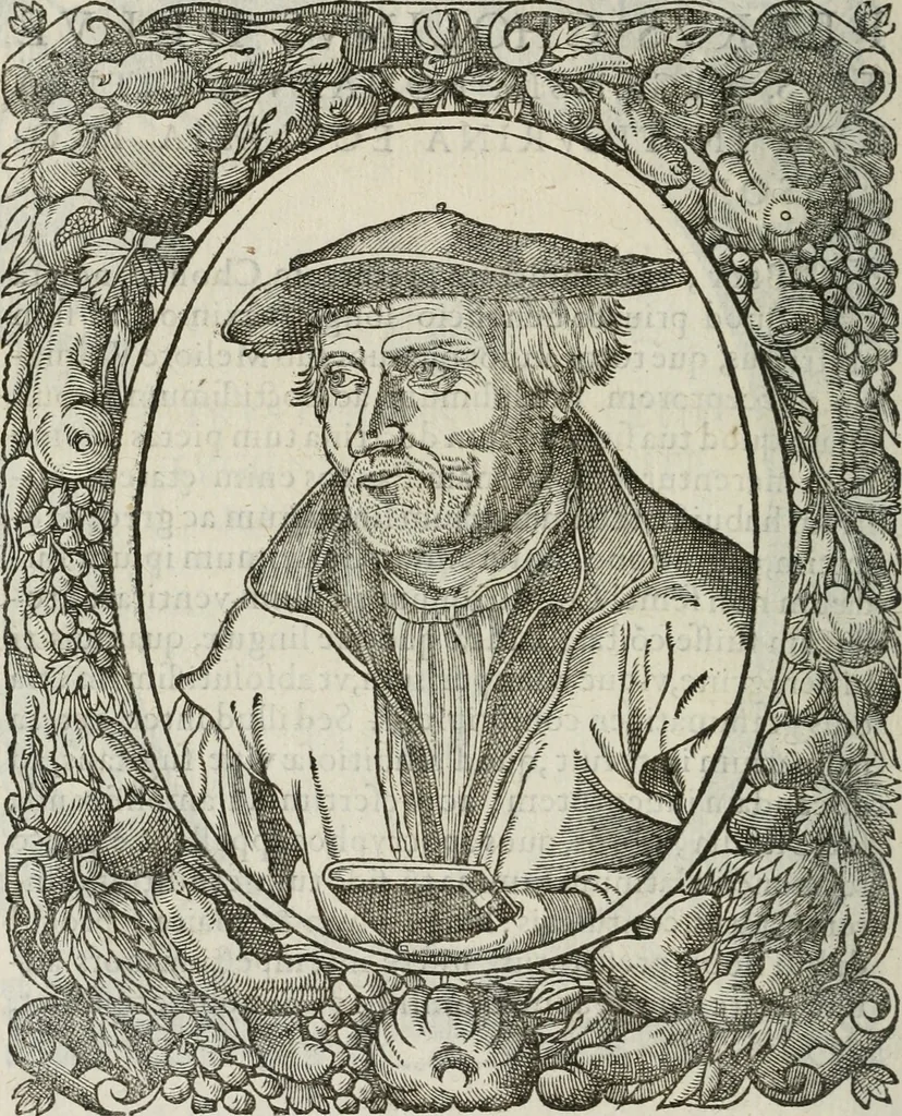 An illustration from Icones, id est, Verae imagines virorum doctrina simul et pietate illustrium, : quorum praecipuè ministerio partim bonarum literarum studia sunt restituta, partim vera religio in variis orbis Christiani regionibus, nostra patrúmque memoria fuit instaurata : additis eorundem vitae & operae descriptionibus, quibus adiectae sunt nonnullae picturae quas emblemata vocant., 1580, leaf 139