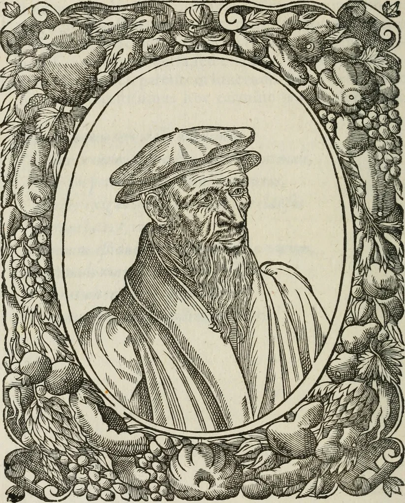 An illustration from Icones, id est, Verae imagines virorum doctrina simul et pietate illustrium, : quorum praecipuè ministerio partim bonarum literarum studia sunt restituta, partim vera religio in variis orbis Christiani regionibus, nostra patrúmque memoria fuit instaurata : additis eorundem vitae & operae descriptionibus, quibus adiectae sunt nonnullae picturae quas emblemata vocant., 1580, leaf 149