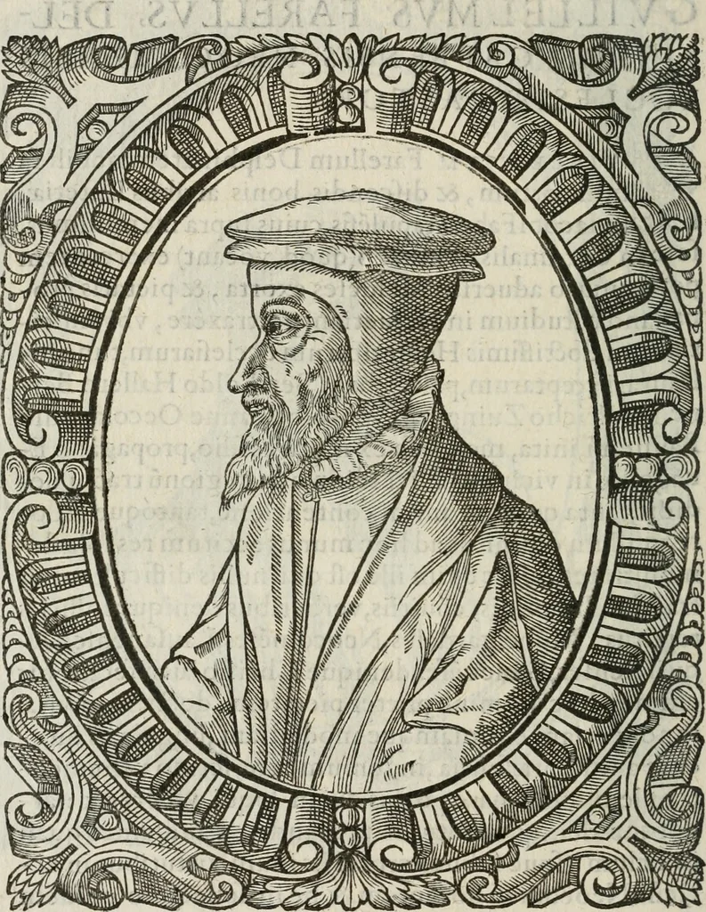 An illustration from Icones, id est, Verae imagines virorum doctrina simul et pietate illustrium, : quorum praecipuè ministerio partim bonarum literarum studia sunt restituta, partim vera religio in variis orbis Christiani regionibus, nostra patrúmque memoria fuit instaurata : additis eorundem vitae & operae descriptionibus, quibus adiectae sunt nonnullae picturae quas emblemata vocant., 1580, leaf 151