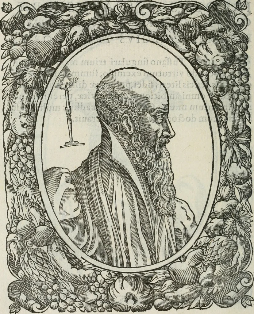 An illustration from Icones, id est, Verae imagines virorum doctrina simul et pietate illustrium, : quorum praecipuè ministerio partim bonarum literarum studia sunt restituta, partim vera religio in variis orbis Christiani regionibus, nostra patrúmque memoria fuit instaurata : additis eorundem vitae & operae descriptionibus, quibus adiectae sunt nonnullae picturae quas emblemata vocant., 1580, leaf 169