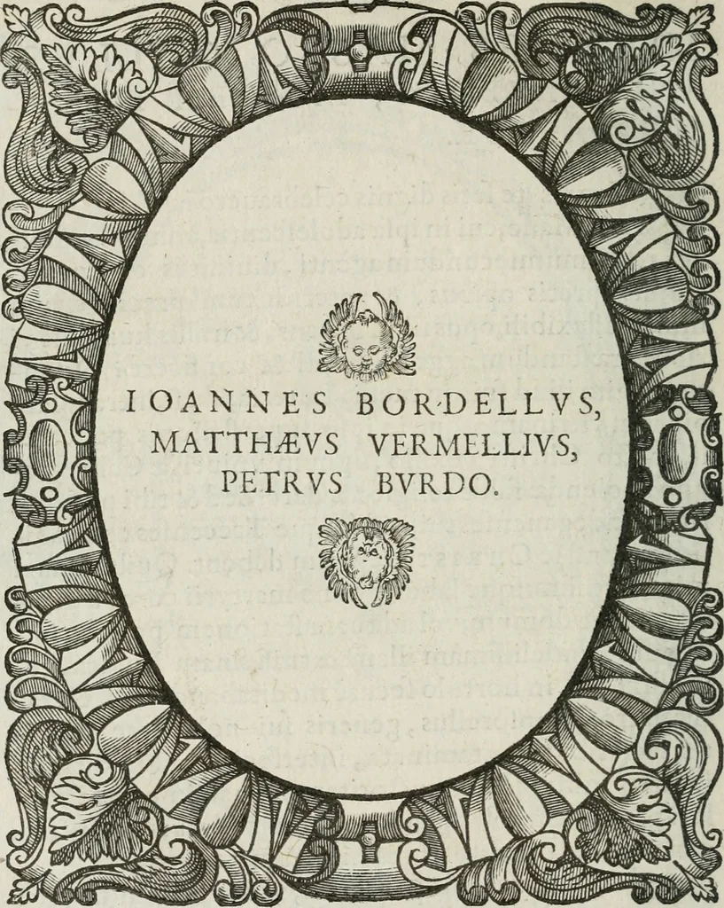 An illustration from Icones, id est, Verae imagines virorum doctrina simul et pietate illustrium, : quorum praecipuè ministerio partim bonarum literarum studia sunt restituta, partim vera religio in variis orbis Christiani regionibus, nostra patrúmque memoria fuit instaurata : additis eorundem vitae & operae descriptionibus, quibus adiectae sunt nonnullae picturae quas emblemata vocant., 1580, leaf 203