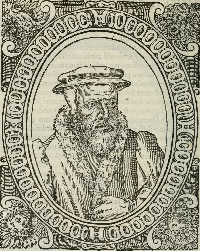 An illustration from Icones, id est, Verae imagines virorum doctrina simul et pietate illustrium, : quorum praecipuè ministerio partim bonarum literarum studia sunt restituta, partim vera religio in variis orbis Christiani regionibus, nostra patrúmque memoria fuit instaurata : additis eorundem vitae & operae descriptionibus, quibus adiectae sunt nonnullae picturae quas emblemata vocant., 1580, leaf 209