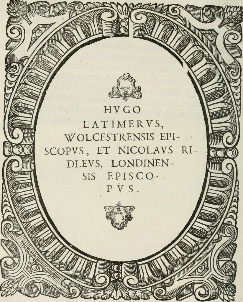 An illustration from Icones, id est, Verae imagines virorum doctrina simul et pietate illustrium, : quorum praecipuè ministerio partim bonarum literarum studia sunt restituta, partim vera religio in variis orbis Christiani regionibus, nostra patrúmque memoria fuit instaurata : additis eorundem vitae & operae descriptionibus, quibus adiectae sunt nonnullae picturae quas emblemata vocant., 1580, leaf 227