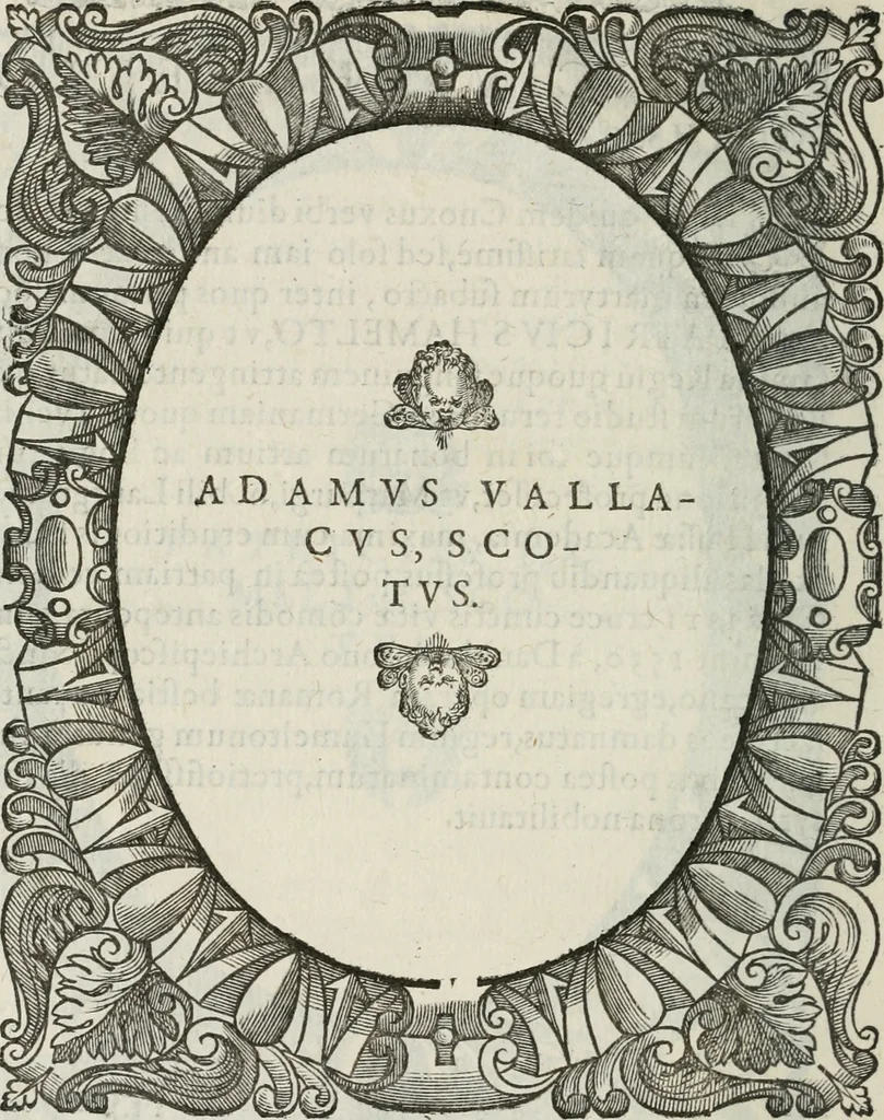 An illustration from Icones, id est, Verae imagines virorum doctrina simul et pietate illustrium, : quorum praecipuè ministerio partim bonarum literarum studia sunt restituta, partim vera religio in variis orbis Christiani regionibus, nostra patrúmque memoria fuit instaurata : additis eorundem vitae & operae descriptionibus, quibus adiectae sunt nonnullae picturae quas emblemata vocant., 1580, leaf 239