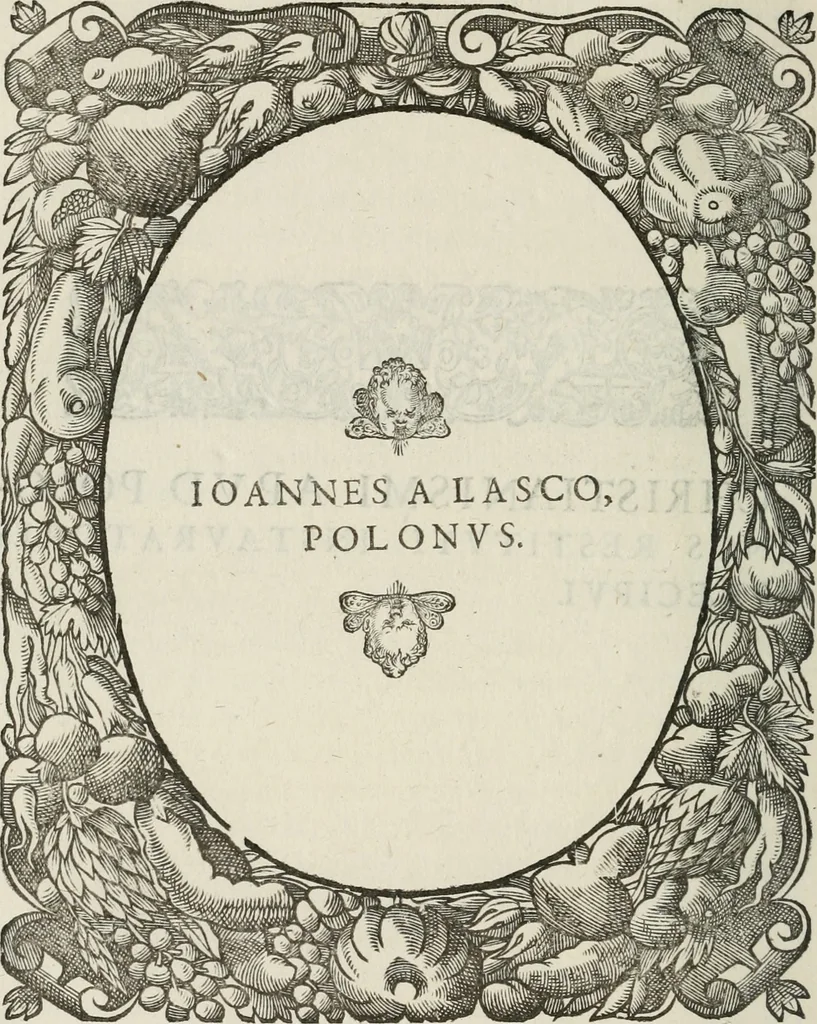 An illustration from Icones, id est, Verae imagines virorum doctrina simul et pietate illustrium, : quorum praecipuè ministerio partim bonarum literarum studia sunt restituta, partim vera religio in variis orbis Christiani regionibus, nostra patrúmque memoria fuit instaurata : additis eorundem vitae & operae descriptionibus, quibus adiectae sunt nonnullae picturae quas emblemata vocant., 1580, leaf 251