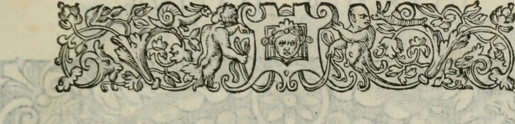 An illustration from Icones, id est, Verae imagines virorum doctrina simul et pietate illustrium, : quorum praecipuè ministerio partim bonarum literarum studia sunt restituta, partim vera religio in variis orbis Christiani regionibus, nostra patrúmque memoria fuit instaurata : additis eorundem vitae & operae descriptionibus, quibus adiectae sunt nonnullae picturae quas emblemata vocant., 1580, leaf 272