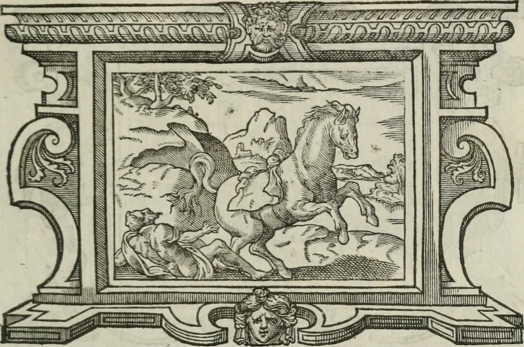 An illustration from Icones, id est, Verae imagines virorum doctrina simul et pietate illustrium, : quorum praecipuè ministerio partim bonarum literarum studia sunt restituta, partim vera religio in variis orbis Christiani regionibus, nostra patrúmque memoria fuit instaurata : additis eorundem vitae & operae descriptionibus, quibus adiectae sunt nonnullae picturae quas emblemata vocant., 1580, leaf 284