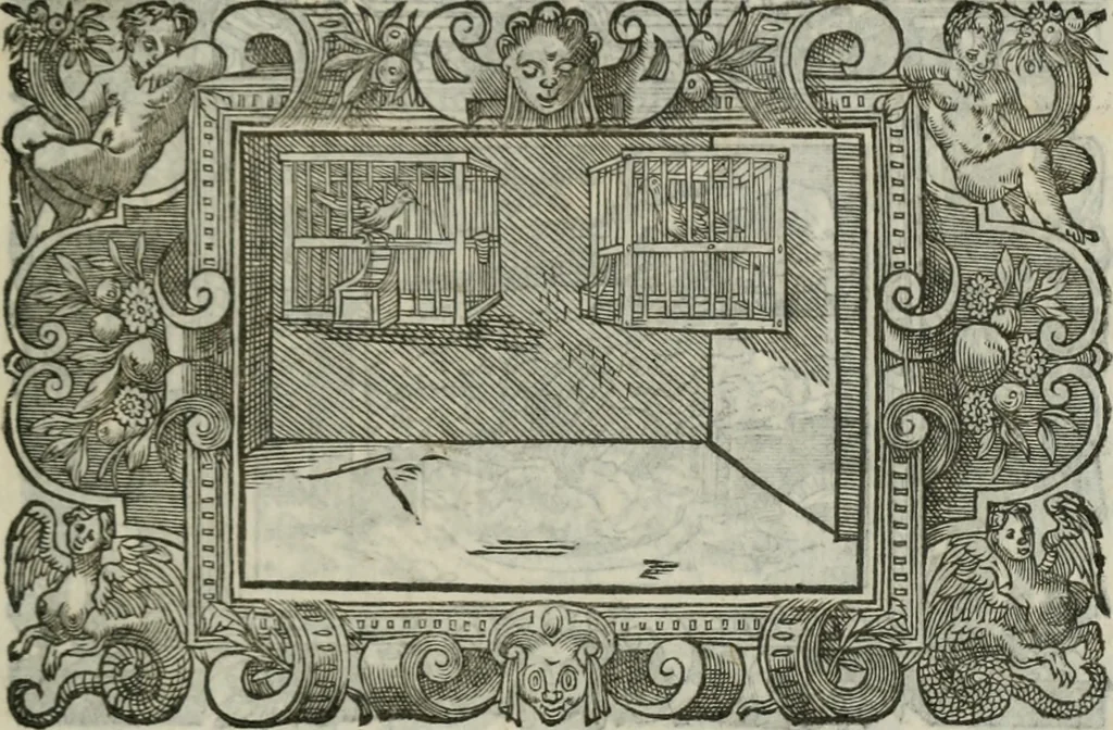 An illustration from Icones, id est, Verae imagines virorum doctrina simul et pietate illustrium, : quorum praecipuè ministerio partim bonarum literarum studia sunt restituta, partim vera religio in variis orbis Christiani regionibus, nostra patrúmque memoria fuit instaurata : additis eorundem vitae & operae descriptionibus, quibus adiectae sunt nonnullae picturae quas emblemata vocant., 1580, leaf 290