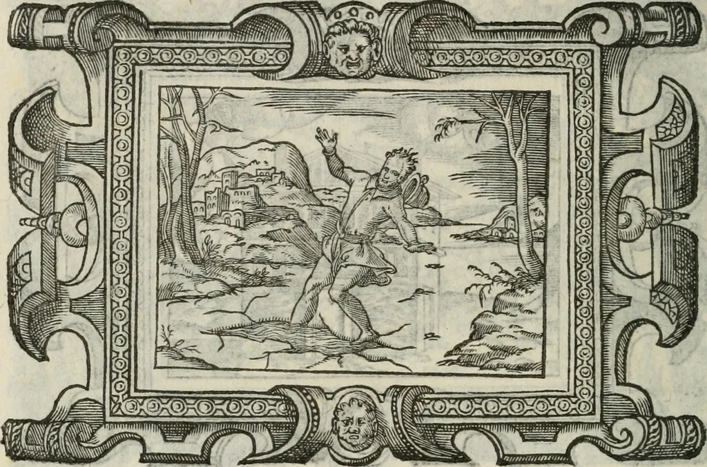 An illustration from Icones, id est, Verae imagines virorum doctrina simul et pietate illustrium, : quorum praecipuè ministerio partim bonarum literarum studia sunt restituta, partim vera religio in variis orbis Christiani regionibus, nostra patrúmque memoria fuit instaurata : additis eorundem vitae & operae descriptionibus, quibus adiectae sunt nonnullae picturae quas emblemata vocant., 1580, leaf 293
