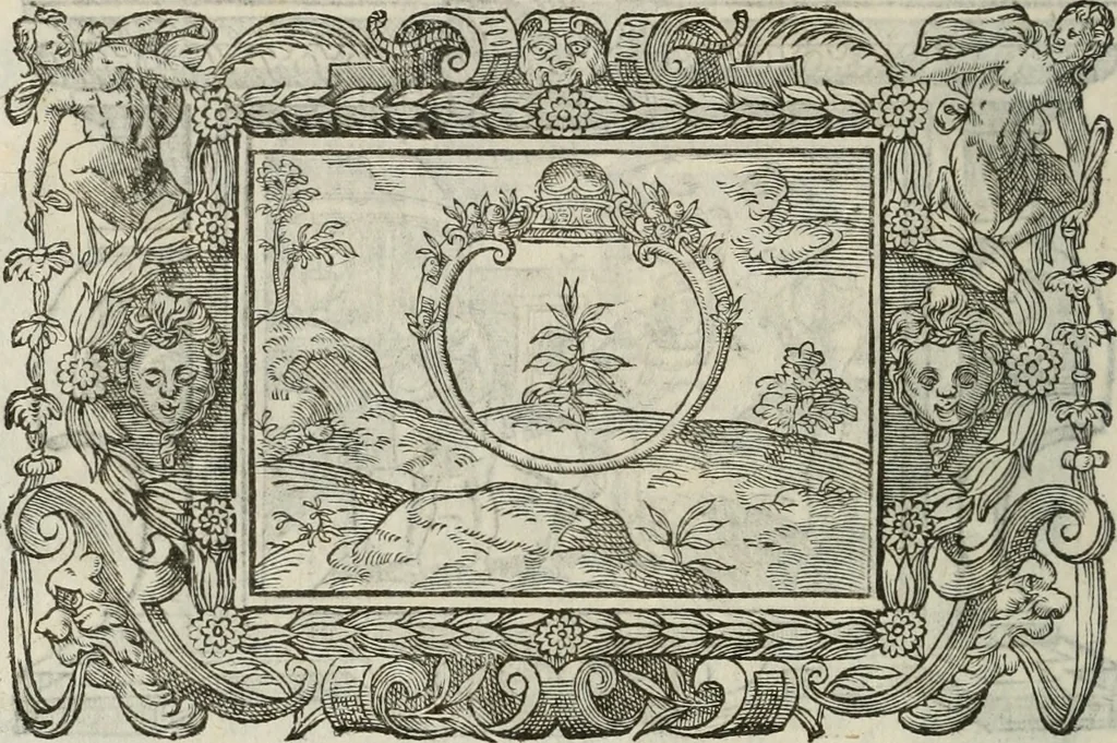 An illustration from Icones, id est, Verae imagines virorum doctrina simul et pietate illustrium, : quorum praecipuè ministerio partim bonarum literarum studia sunt restituta, partim vera religio in variis orbis Christiani regionibus, nostra patrúmque memoria fuit instaurata : additis eorundem vitae & operae descriptionibus, quibus adiectae sunt nonnullae picturae quas emblemata vocant., 1580, leaf 295
