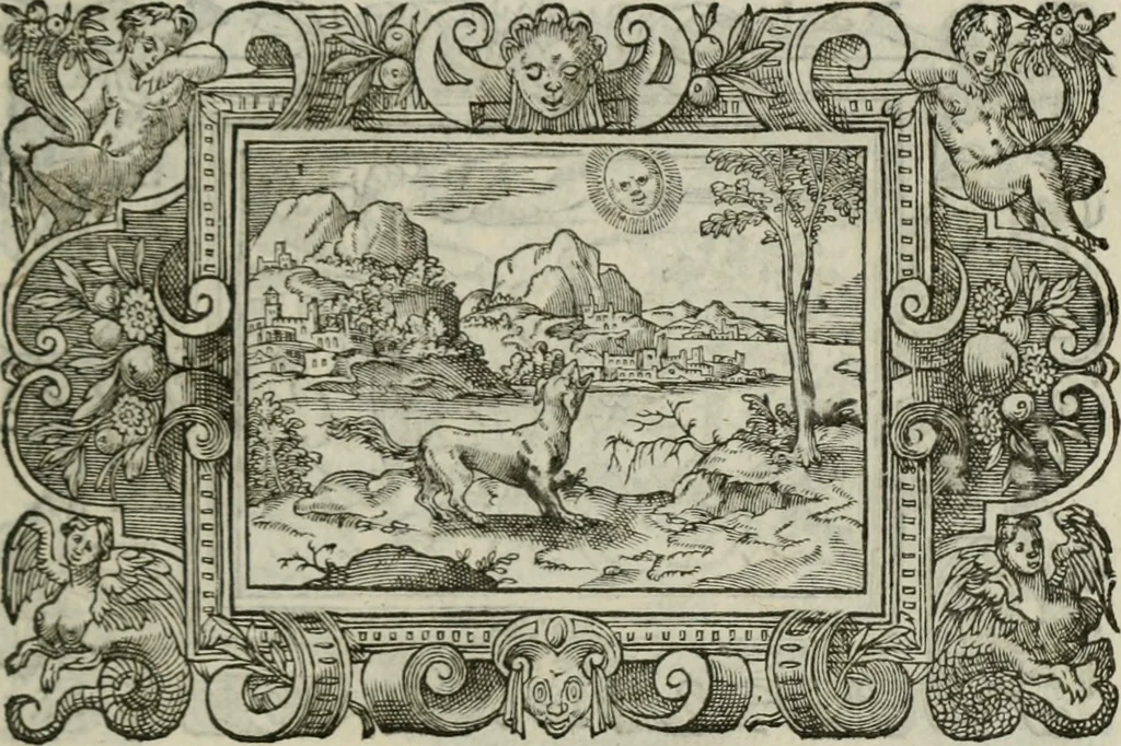 An illustration from Icones, id est, Verae imagines virorum doctrina simul et pietate illustrium, : quorum praecipuè ministerio partim bonarum literarum studia sunt restituta, partim vera religio in variis orbis Christiani regionibus, nostra patrúmque memoria fuit instaurata : additis eorundem vitae & operae descriptionibus, quibus adiectae sunt nonnullae picturae quas emblemata vocant., 1580, leaf 296