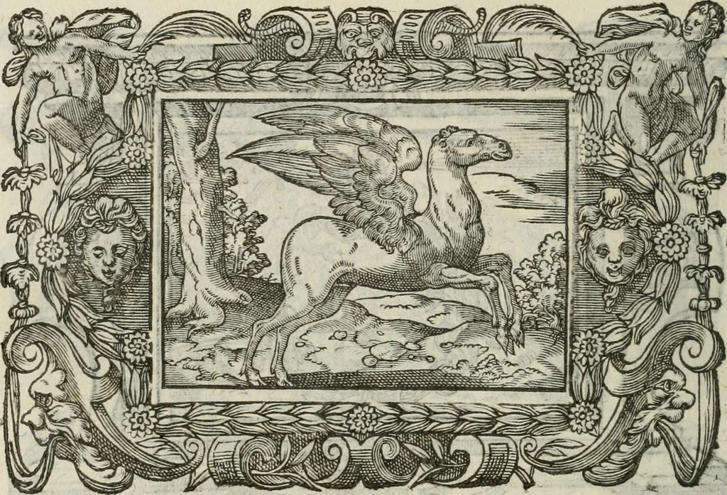 An illustration from Icones, id est, Verae imagines virorum doctrina simul et pietate illustrium, : quorum praecipuè ministerio partim bonarum literarum studia sunt restituta, partim vera religio in variis orbis Christiani regionibus, nostra patrúmque memoria fuit instaurata : additis eorundem vitae & operae descriptionibus, quibus adiectae sunt nonnullae picturae quas emblemata vocant., 1580, leaf 303