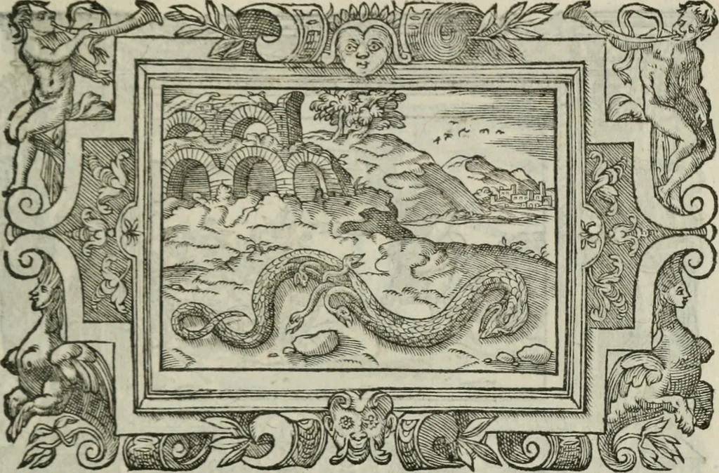 An illustration from Icones, id est, Verae imagines virorum doctrina simul et pietate illustrium, : quorum praecipuè ministerio partim bonarum literarum studia sunt restituta, partim vera religio in variis orbis Christiani regionibus, nostra patrúmque memoria fuit instaurata : additis eorundem vitae & operae descriptionibus, quibus adiectae sunt nonnullae picturae quas emblemata vocant., 1580, leaf 306