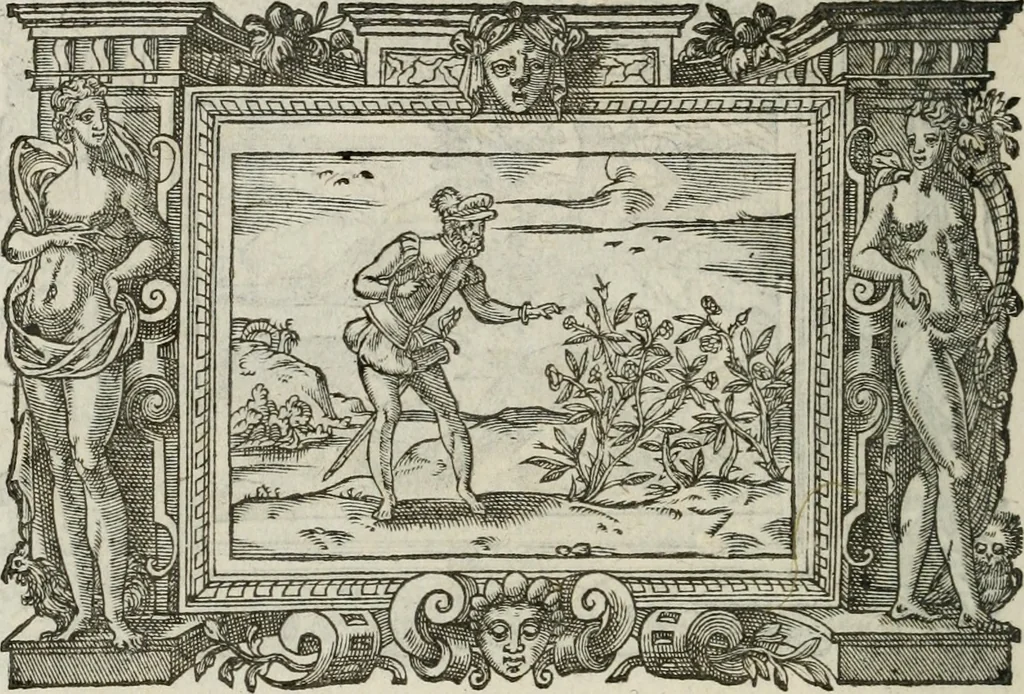 An illustration from Icones, id est, Verae imagines virorum doctrina simul et pietate illustrium, : quorum praecipuè ministerio partim bonarum literarum studia sunt restituta, partim vera religio in variis orbis Christiani regionibus, nostra patrúmque memoria fuit instaurata : additis eorundem vitae & operae descriptionibus, quibus adiectae sunt nonnullae picturae quas emblemata vocant., 1580, leaf 307