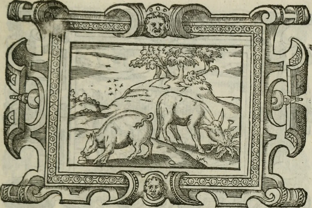 An illustration from Icones, id est, Verae imagines virorum doctrina simul et pietate illustrium, : quorum praecipuè ministerio partim bonarum literarum studia sunt restituta, partim vera religio in variis orbis Christiani regionibus, nostra patrúmque memoria fuit instaurata : additis eorundem vitae & operae descriptionibus, quibus adiectae sunt nonnullae picturae quas emblemata vocant., 1580, leaf 308