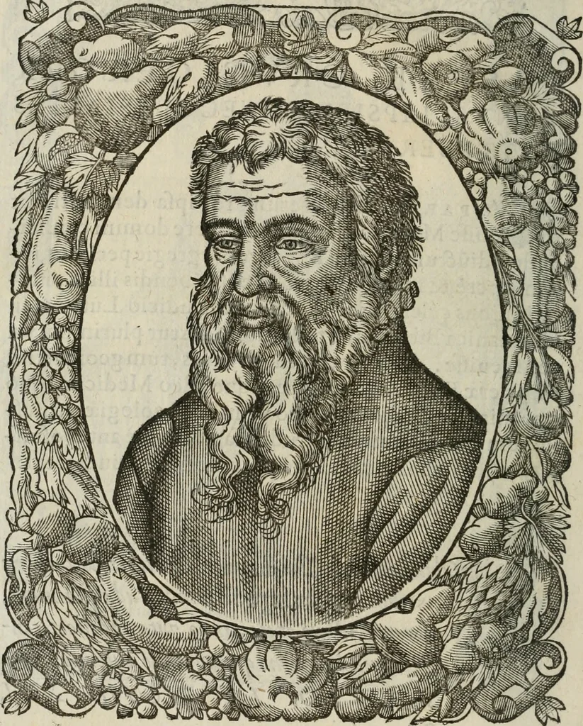 An illustration from Icones, id est, Verae imagines virorum doctrina simul et pietate illustrium, : quorum praecipuè ministerio partim bonarum literarum studia sunt restituta, partim vera religio in variis orbis Christiani regionibus, nostra patrúmque memoria fuit instaurata : additis eorundem vitae & operae descriptionibus, quibus adiectae sunt nonnullae picturae quas emblemata vocant., 1580, leaf 53
