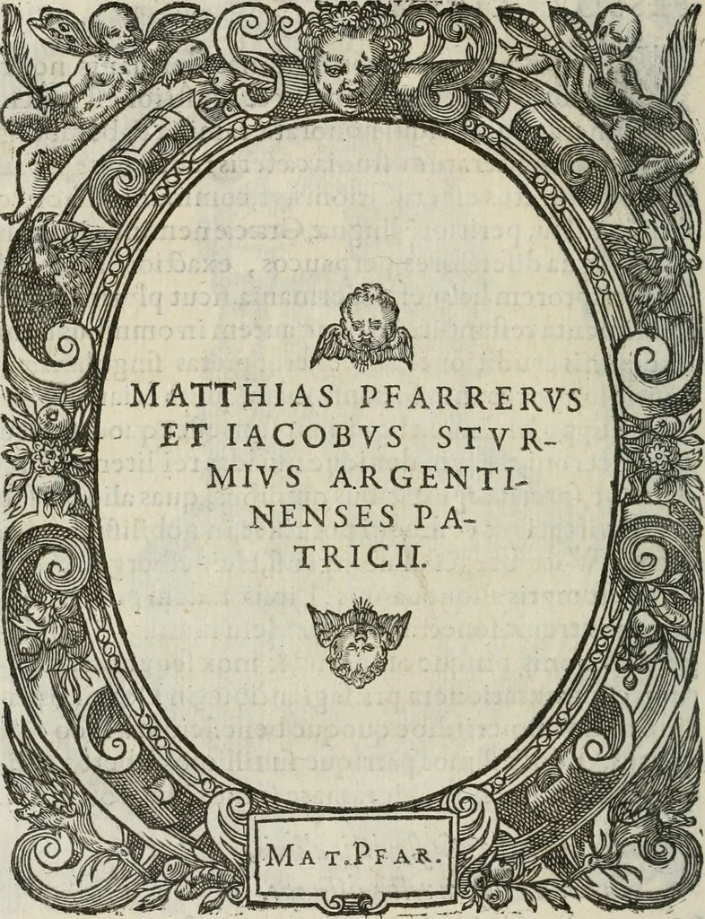 An illustration from Icones, id est, Verae imagines virorum doctrina simul et pietate illustrium, : quorum praecipuè ministerio partim bonarum literarum studia sunt restituta, partim vera religio in variis orbis Christiani regionibus, nostra patrúmque memoria fuit instaurata : additis eorundem vitae & operae descriptionibus, quibus adiectae sunt nonnullae picturae quas emblemata vocant., 1580, leaf 55