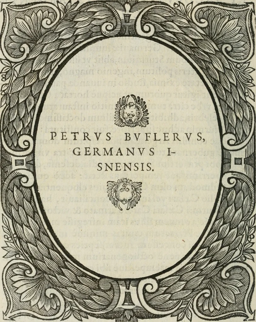 An illustration from Icones, id est, Verae imagines virorum doctrina simul et pietate illustrium, : quorum praecipuè ministerio partim bonarum literarum studia sunt restituta, partim vera religio in variis orbis Christiani regionibus, nostra patrúmque memoria fuit instaurata : additis eorundem vitae & operae descriptionibus, quibus adiectae sunt nonnullae picturae quas emblemata vocant., 1580, leaf 57