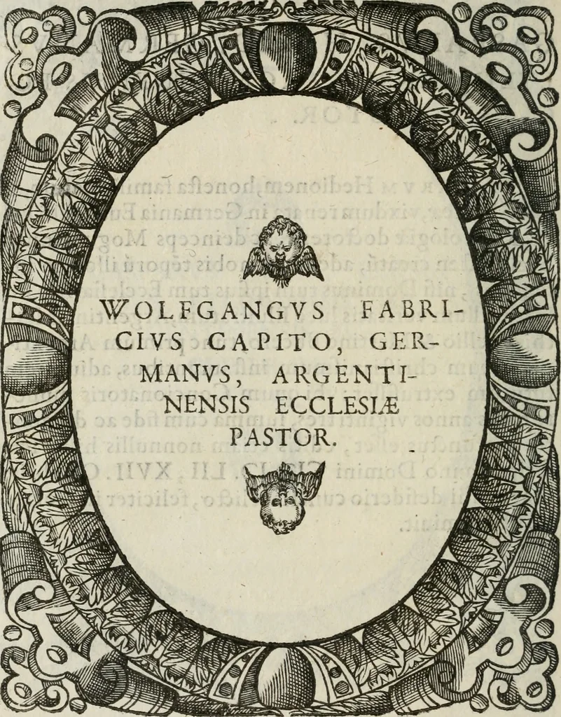 An illustration from Icones, id est, Verae imagines virorum doctrina simul et pietate illustrium, : quorum praecipuè ministerio partim bonarum literarum studia sunt restituta, partim vera religio in variis orbis Christiani regionibus, nostra patrúmque memoria fuit instaurata : additis eorundem vitae & operae descriptionibus, quibus adiectae sunt nonnullae picturae quas emblemata vocant., 1580, leaf 69