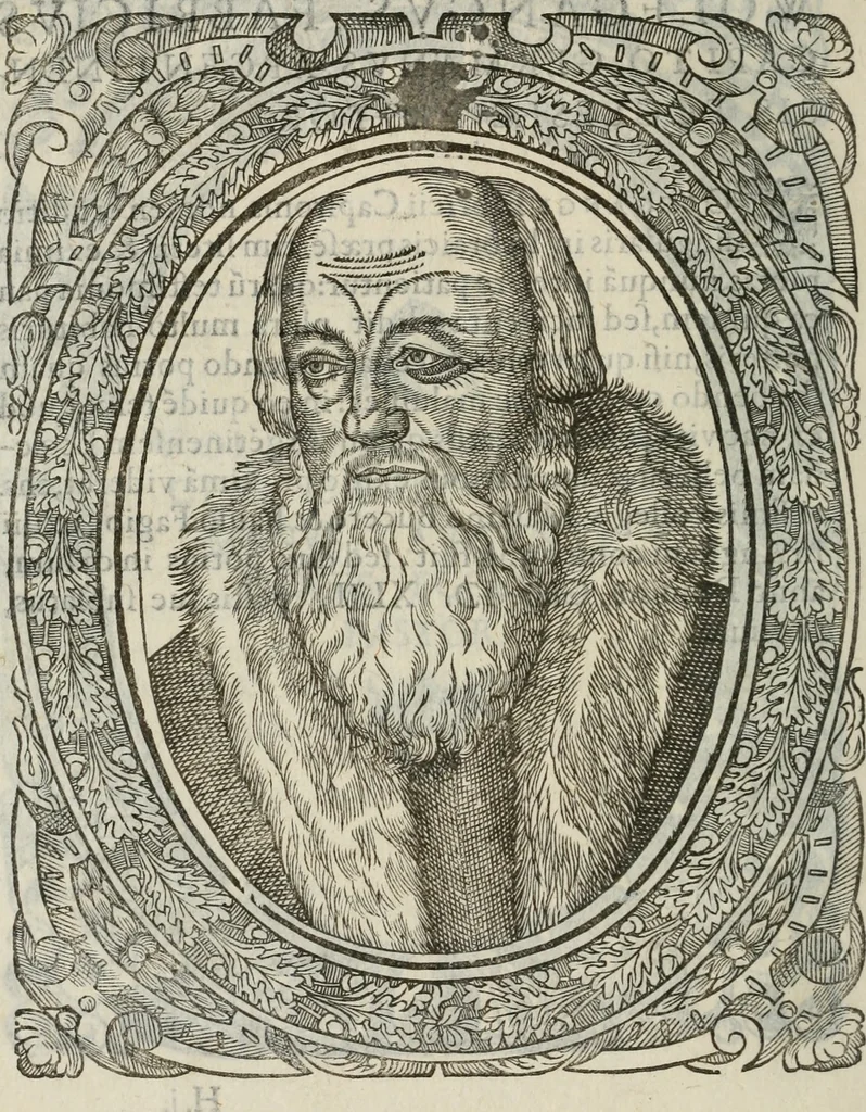 An illustration from Icones, id est, Verae imagines virorum doctrina simul et pietate illustrium, : quorum praecipuè ministerio partim bonarum literarum studia sunt restituta, partim vera religio in variis orbis Christiani regionibus, nostra patrúmque memoria fuit instaurata : additis eorundem vitae & operae descriptionibus, quibus adiectae sunt nonnullae picturae quas emblemata vocant., 1580, leaf 71