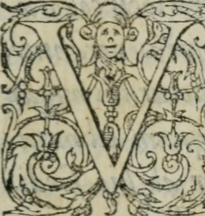 An illustration from Icones, id est, Verae imagines virorum doctrina simul et pietate illustrium, : quorum praecipuè ministerio partim bonarum literarum studia sunt restituta, partim vera religio in variis orbis Christiani regionibus, nostra patrúmque memoria fuit instaurata : additis eorundem vitae & operae descriptionibus, quibus adiectae sunt nonnullae picturae quas emblemata vocant., 1580, leaf 8