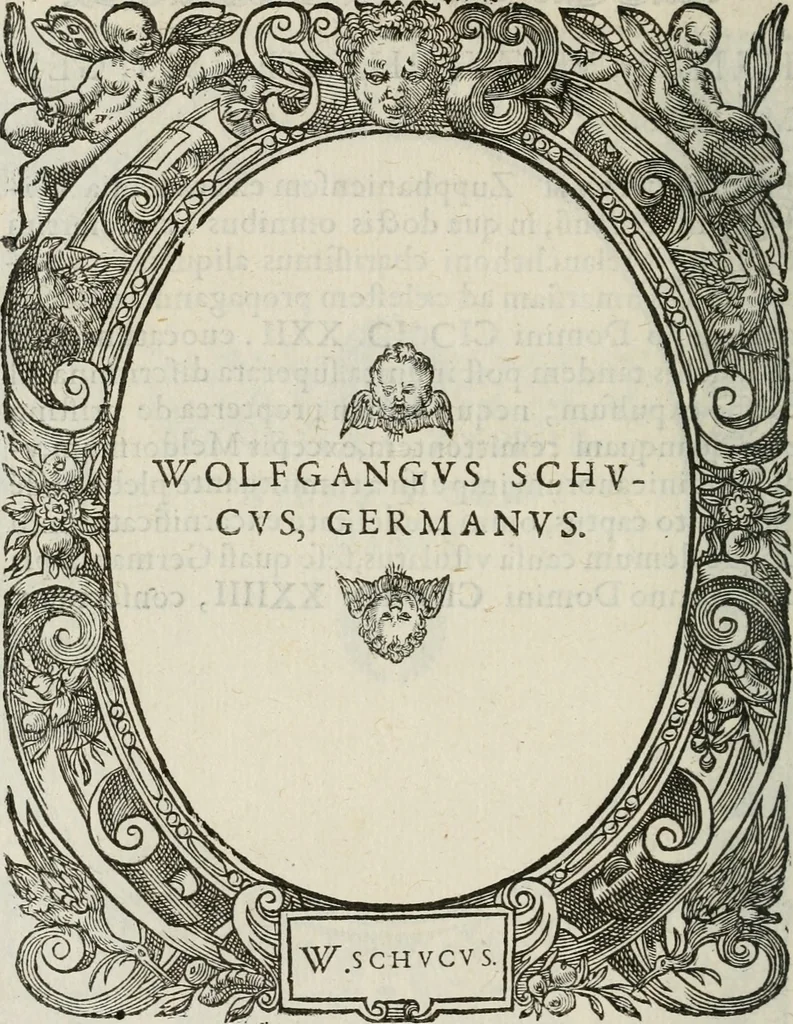 An illustration from Icones, id est, Verae imagines virorum doctrina simul et pietate illustrium, : quorum praecipuè ministerio partim bonarum literarum studia sunt restituta, partim vera religio in variis orbis Christiani regionibus, nostra patrúmque memoria fuit instaurata : additis eorundem vitae & operae descriptionibus, quibus adiectae sunt nonnullae picturae quas emblemata vocant., 1580, leaf 91