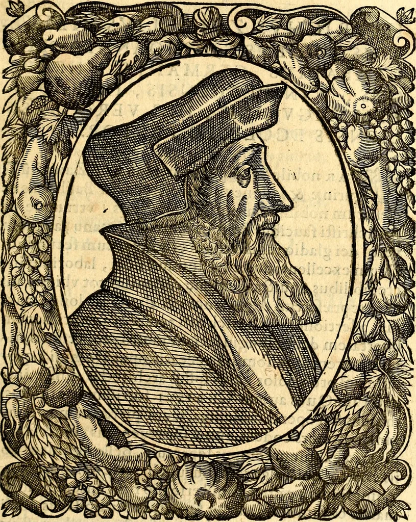 An illustration from Icones, id est verae imagines virorum doctrina simul et pietate illustrium, quorum praecipuè ministerio partim bonarum literarum studia sunt restituta, partim vera religio in variis orbis Christiani regionibus, nostra patrúmque memoria fuit instaurata: additis eorundem vitae & operae descriptionibus, quibus adiectae sunt nonnullae picturae quas emblemata vocant, 1580, leaf 100