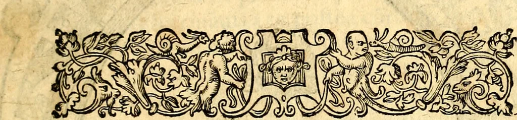 An illustration from Icones, id est verae imagines virorum doctrina simul et pietate illustrium, quorum praecipuè ministerio partim bonarum literarum studia sunt restituta, partim vera religio in variis orbis Christiani regionibus, nostra patrúmque memoria fuit instaurata: additis eorundem vitae & operae descriptionibus, quibus adiectae sunt nonnullae picturae quas emblemata vocant, 1580, leaf 12