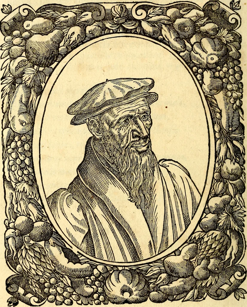 An illustration from Icones, id est verae imagines virorum doctrina simul et pietate illustrium, quorum praecipuè ministerio partim bonarum literarum studia sunt restituta, partim vera religio in variis orbis Christiani regionibus, nostra patrúmque memoria fuit instaurata: additis eorundem vitae & operae descriptionibus, quibus adiectae sunt nonnullae picturae quas emblemata vocant, 1580, leaf 147