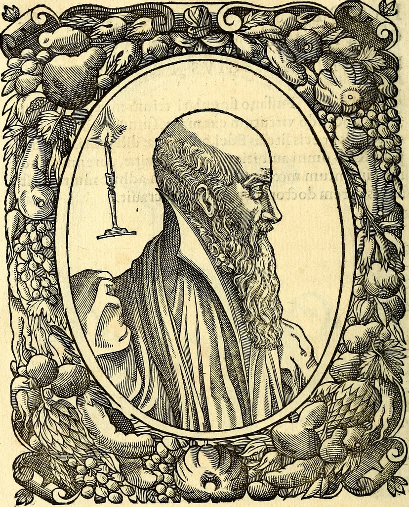 An illustration from Icones, id est verae imagines virorum doctrina simul et pietate illustrium, quorum praecipuè ministerio partim bonarum literarum studia sunt restituta, partim vera religio in variis orbis Christiani regionibus, nostra patrúmque memoria fuit instaurata: additis eorundem vitae & operae descriptionibus, quibus adiectae sunt nonnullae picturae quas emblemata vocant, 1580, leaf 167